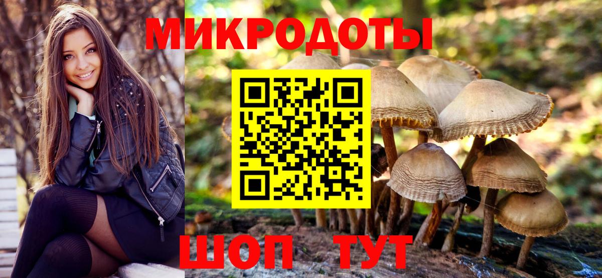 Галлюциногенные грибы GOLDEN TEACHER Партизанск