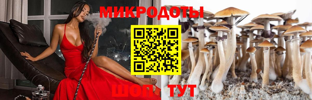 Партизанск  Галлюциногенные грибы прущие грибы  Галлюциногенные грибы прущие грибы  Вход с VPN 